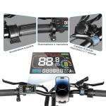 SAMEBIKE 20" Foldable Electric Fat Tire Bike