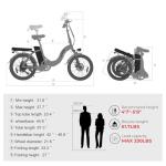 SAMEBIKE 20" Foldable Electric Fat Tire Bike