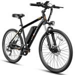 Jasion EB5 750W Electric Mountain Bike for Adults