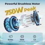 Jasion EB5 750W Electric Mountain Bike for Adults