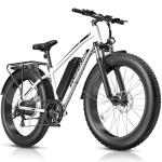 Funhang 1000W Electric Mountain Bike, 25MPH Speed