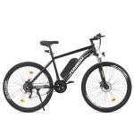 Touroll U1 Electric Mountain Bike with Removable Battery
