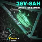 GSOU 250W Electric Mountain Bike for Adults