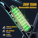 TWOFISH 250W Electric Mountain Bike for Adults