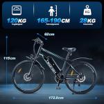 TWOFISH 250W Electric Mountain Bike for Adults