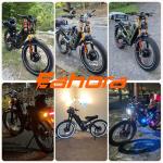 eAhora Romeo Pro 2 Dual Motor Electric Bike