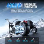 eAhora M1P & M1P Pro Electric Bike Combo