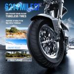 eAhora M1P & M1P Pro Electric Bike Combo