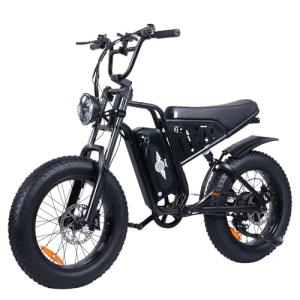 Natkie 2000W Electric Bike - 35MPH, 110 Miles