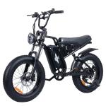 Natkie 2000W Electric Bike - 35MPH, 110 Miles