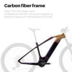 Amzcycle Paladin 29" Electric Mountain Bike