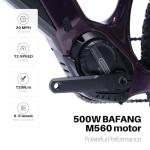 Amzcycle Paladin 29" Electric Mountain Bike