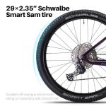 Amzcycle Paladin 29" Electric Mountain Bike