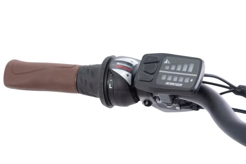 Women's 28" E-Bike with 250W Motor