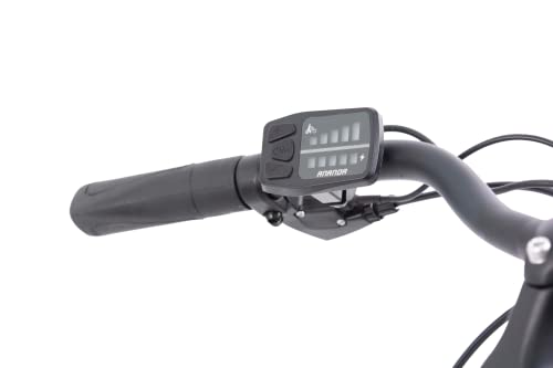Schiano E-Moon Electric City Bike - Women's