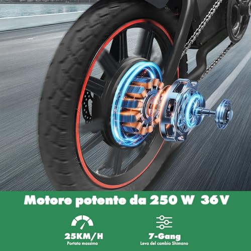 Windgoo B20 Folding Electric Bike for Commuting