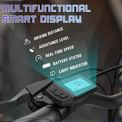 Lightweight 250W Electric Foldable Bike for Teenagers and Adults