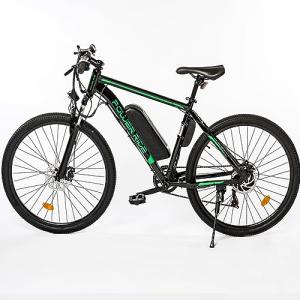 EAGLE Electric Bike with 250W Motor and 27.5" Wheel