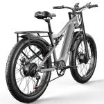 VLFINA Fat Tire Full Suspension E-Bike - 26