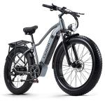 CEAYA 26" Fat Tire E-Bike with 48V Battery