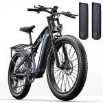 Adult Mountain E-Bike with Dual Disc Brakes