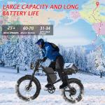 20" Off-Road EBIKE with 1000w Brushless Motor