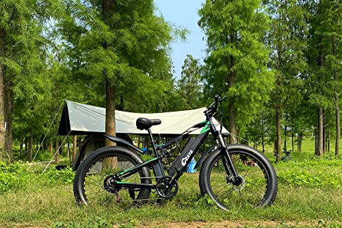CEAYA Fat Tire Electric Bike for Men