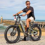 VLFINA Fat Tire Full Suspension E-Bike - 26