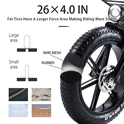 CEAYA 20" Foldable Fat Tire Electric Bike