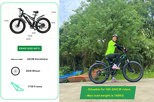 CEAYA Fat Tire Electric Bike for Men