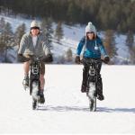 20" Off-Road EBIKE with 1000w Brushless Motor