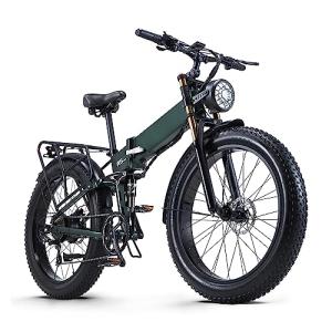Green Fat Tire Electric Mountain Bike for Men