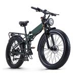 Green Fat Tire Electric Mountain Bike for Men
