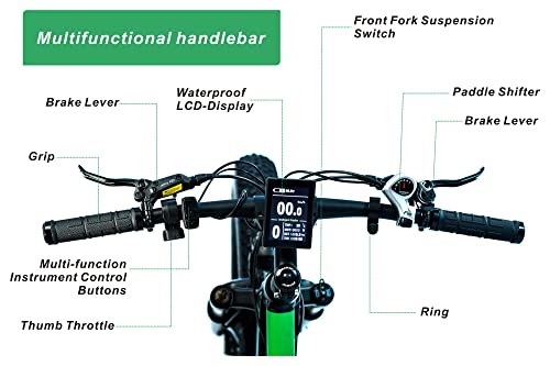 CEAYA Fat Tire Electric Bike for Men