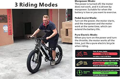 Adult Mountain E-Bike with Dual Disc Brakes
