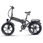 Ficyacto 48V Electric Folding Fat Tire Bike