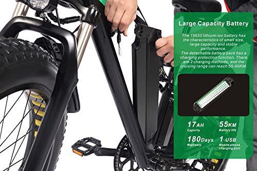 CEAYA Fat Tire Electric Bike for Men