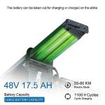 Green Fat Tire Electric Mountain Bike for Men