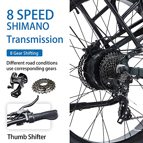 Green Fat Tire Electric Mountain Bike for Men