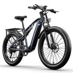 Mountain E-Bike: Fat Tire, Full Suspension, 48V Battery