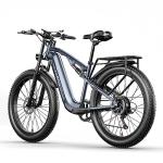 Mountain E-Bike: Fat Tire, Full Suspension, 48V Battery