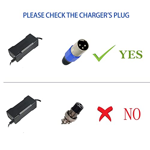 54.6V Charger for Electric Bike & Scooter