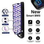 48V 15Ah Electric Bike Battery for 1600W-550W Motor