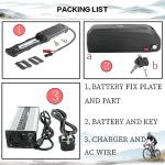 Unit Pack Power 48V Ebike Battery - Lithium Ion