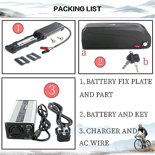 Unit Pack Power 48V Ebike Battery - Lithium Ion