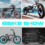 48V 15Ah Electric Bike Battery for 1600W-550W Motor