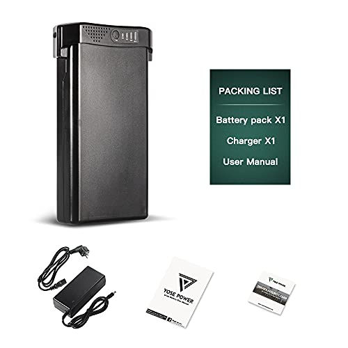 24V 10.4Ah E-Bike Battery + Charger (U.K. MIFA, Prophete)
