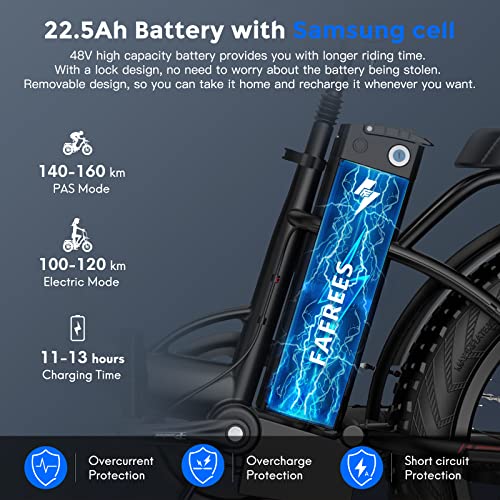 Fafrees Official F20 Max Electric Mountain Bike