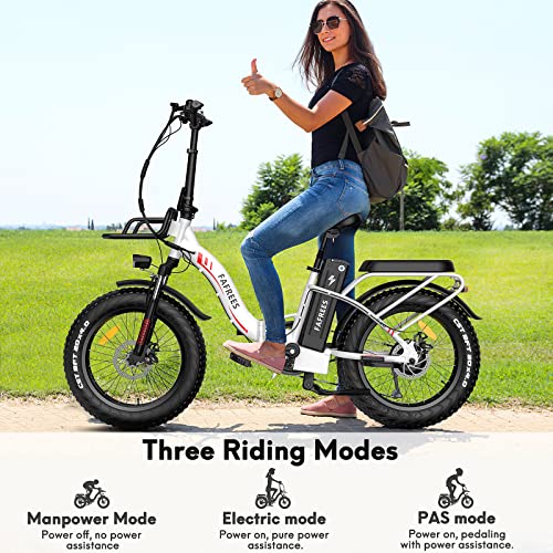 Fafrees Official F20 Max Electric Mountain Bike