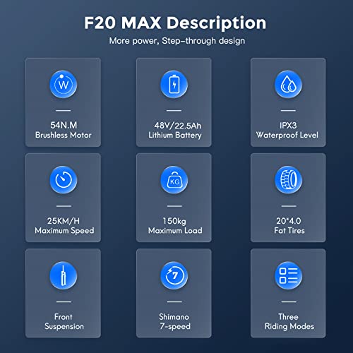 Fafrees Official F20 Max Electric Mountain Bike